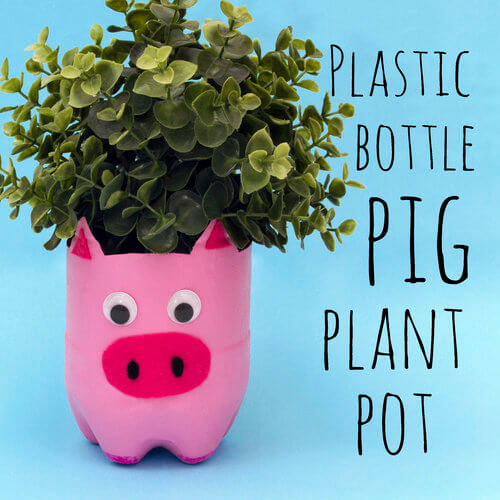 Cute Pig Plant Pot Craft Out Of A Plastic Bottle