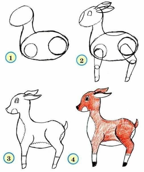 Deer Animal Drawing Ideas Step By Step For Kids