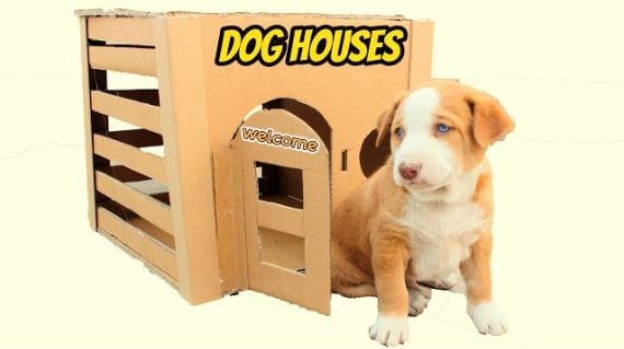 Dog House Craft With Cardboard For Kids