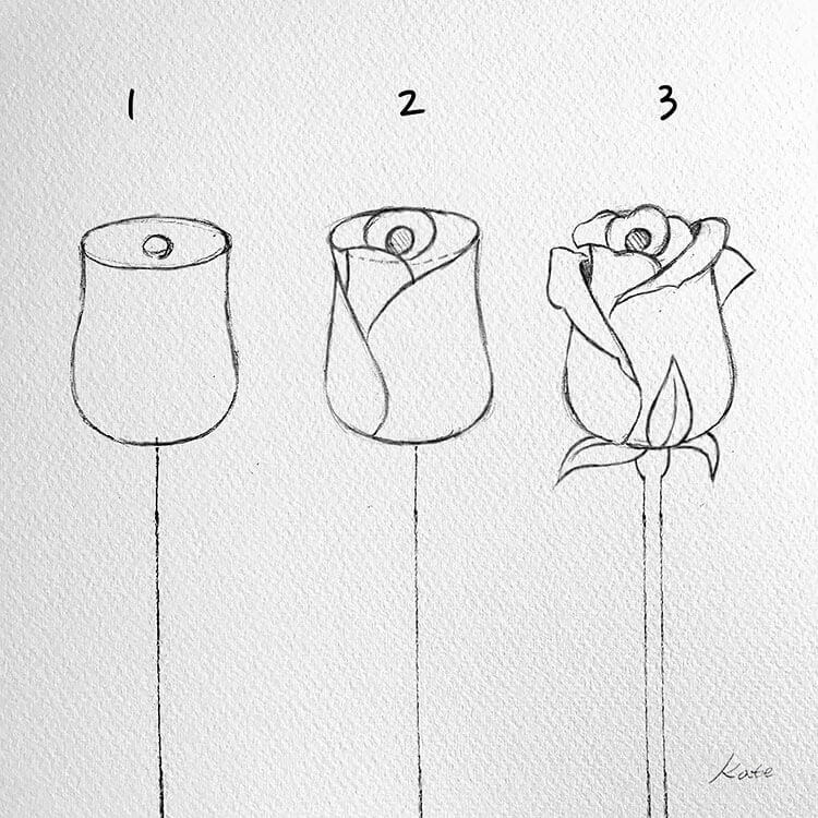 Easy & Simple Rose Drawing Step By Step Ideas For Beginners