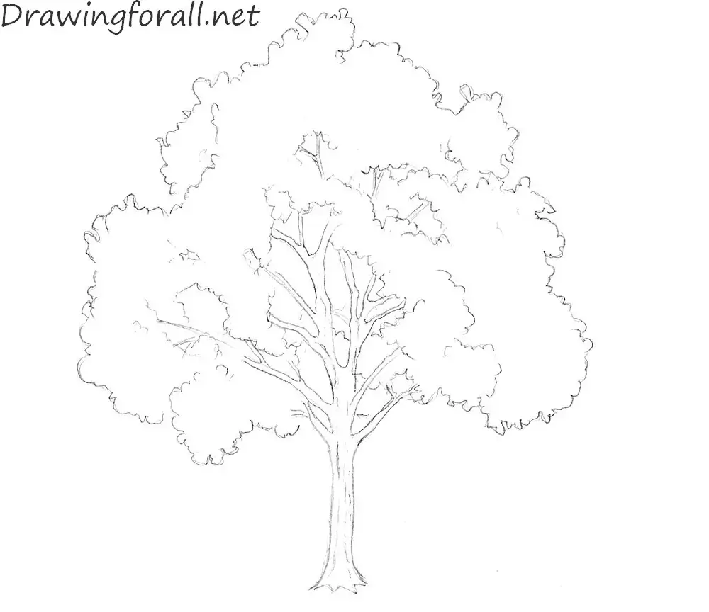 Easy & Simple Wall Tree Drawing Step By Step For Beginners