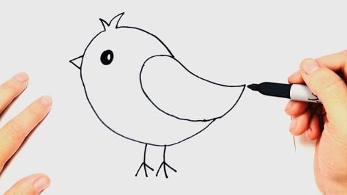 Easy Bird Drawing Tutorial Idea For Kids