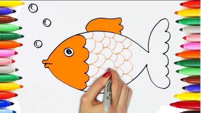 Easy Fish Animal Drawing Tutorial For Preschoolers
