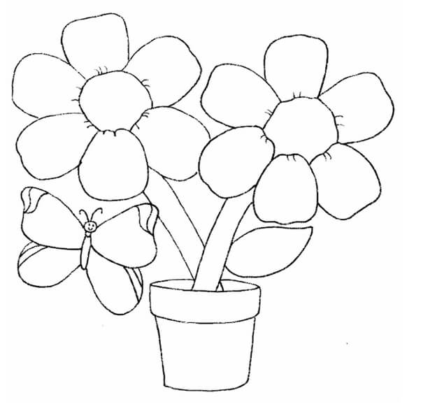 Easy Flower Drawing Ideas For Preschoolers