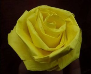 Tissue Paper Rose Craft Ideas - Kids Art & Craft