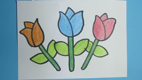 Easy Tulip Flower Drawing & Painting Ideas With Pencil Color