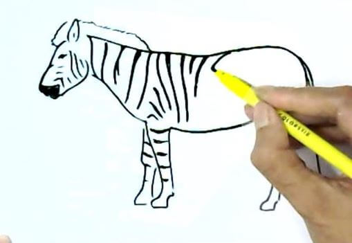 Easy Zebra Drawing Tutorial For beginners