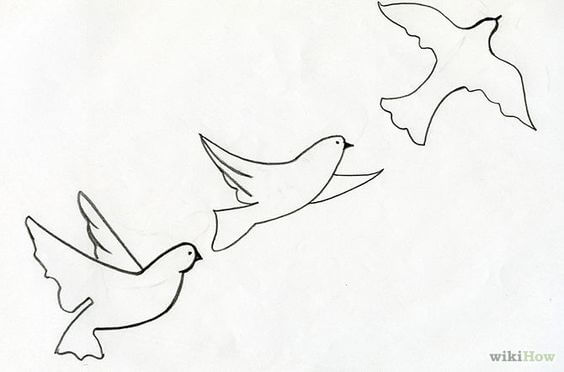 Flying Bird Pencil Drawing Art For Wall