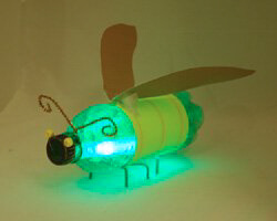 Fun Bug Animal Plastic Bottle Craft Tutorial Step By Step