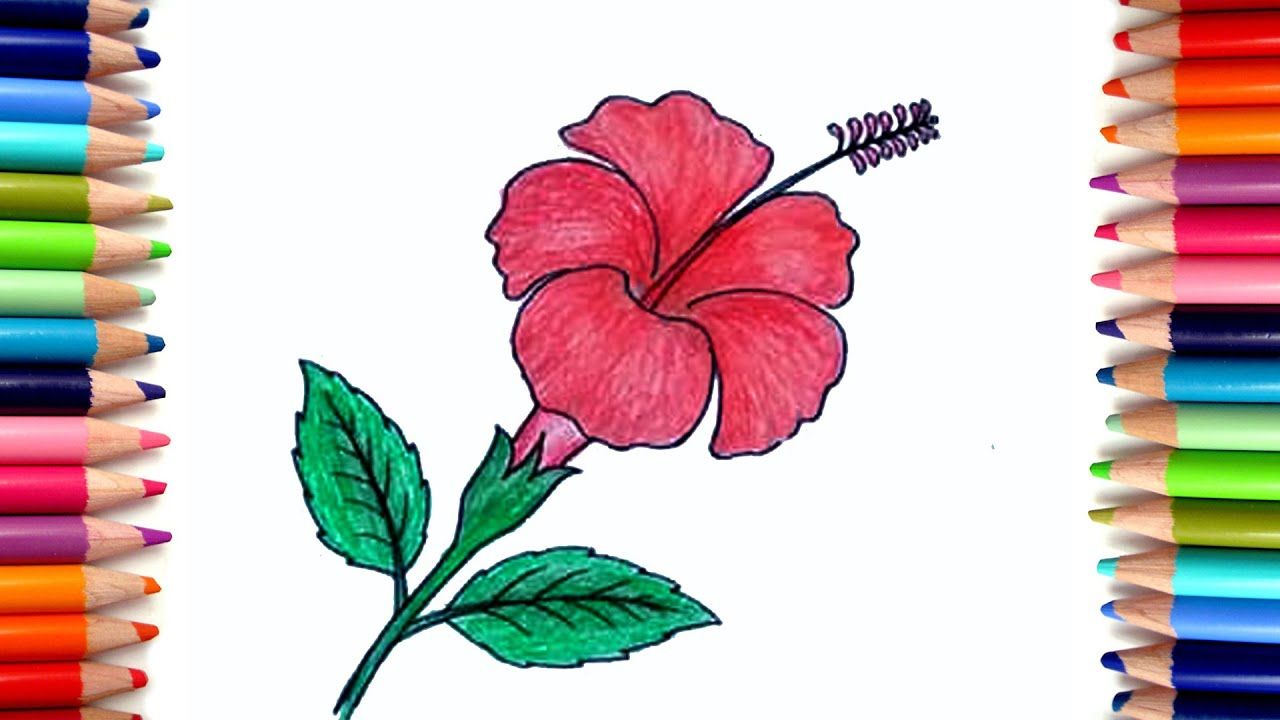 Hibiscus Flower Drawing & Painting Tutorial Ideas For Kids