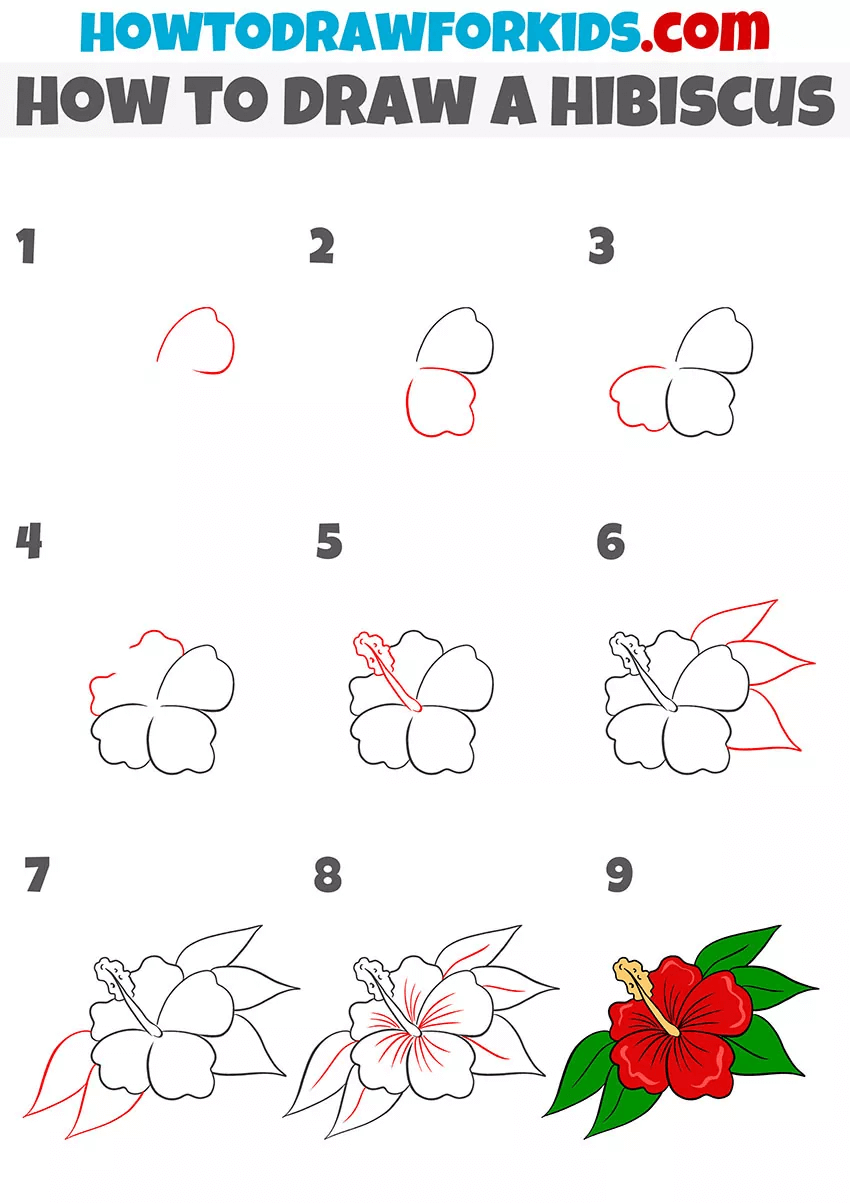 Hibiscus Flower Drawing Tutorial Step By Step For Kids