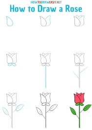 How To Draw A Rose With Step By Step Instructions