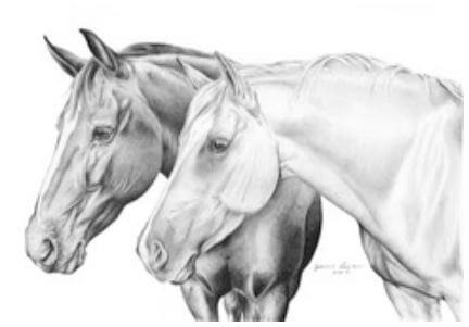How To Draw Horse With Pencil Drawing Shading On Wall For Kids