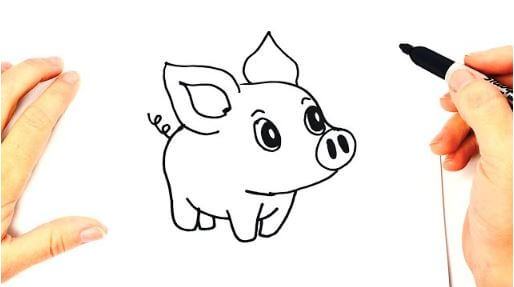 Little Pig Drawing Idea For Kids