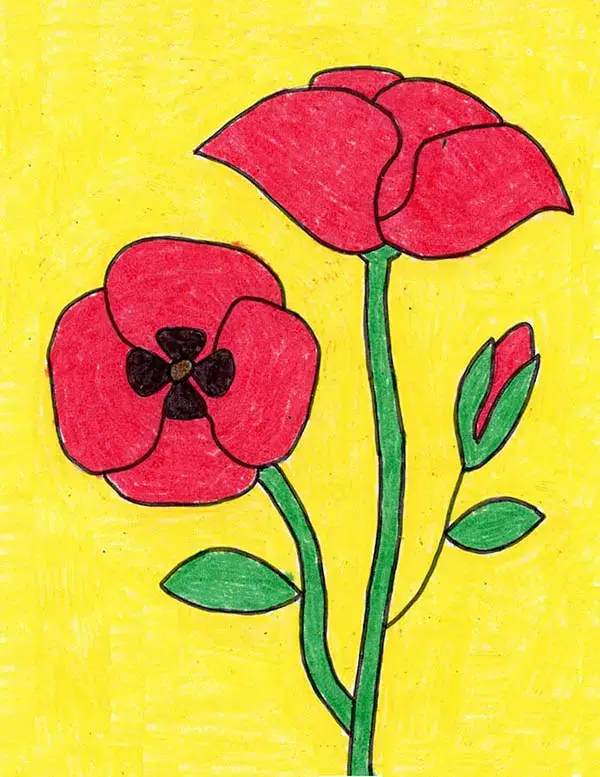 Poppy Flower Drawing & Painting Ideas With Color