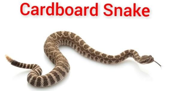 Rattle Snake Cardboard Craft Project For Kids