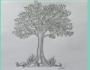 Realistic Tree Wall Pencil Drawing Sketch Step By Step For Kids