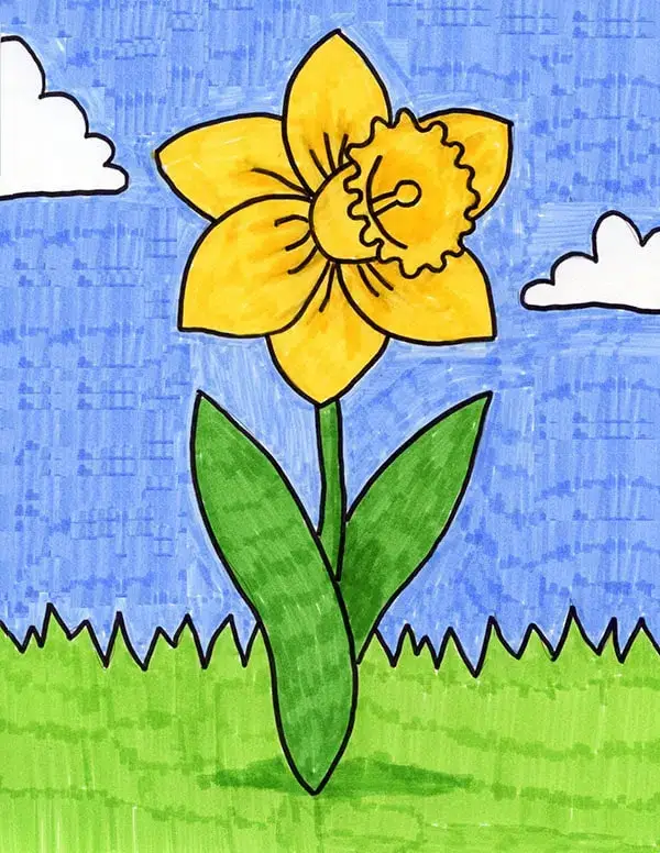Step By Step Daffodil Flower Drawing Painting Ideas For Kids