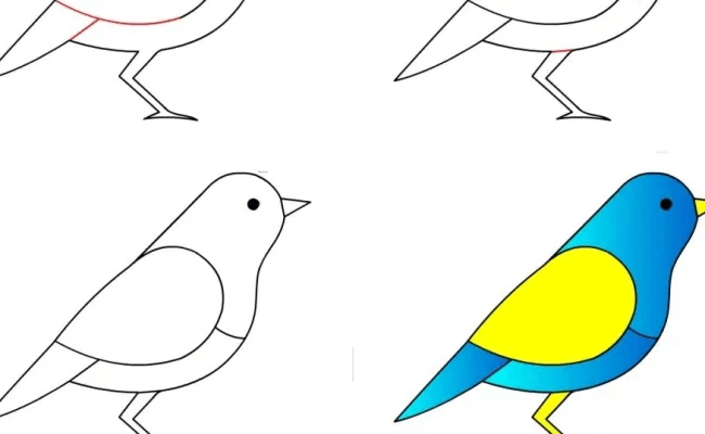 Easy Step By Step Sparrow Birds Drawing & Coloring Ideas Step By Step For Kids
