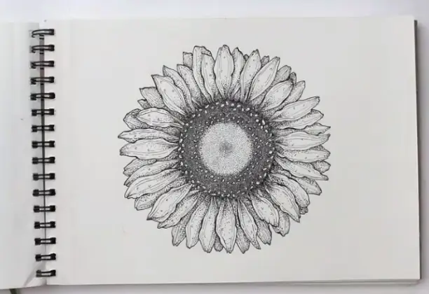 Sunflower Drawing & Painting Ideas On Paper