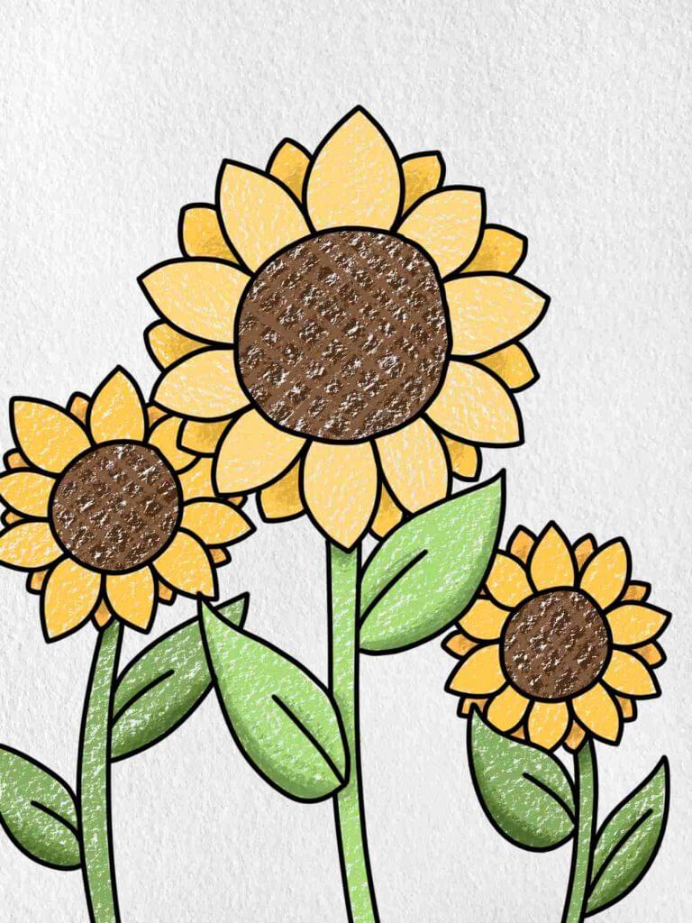 Sunflower Drawing Using Crayon Color