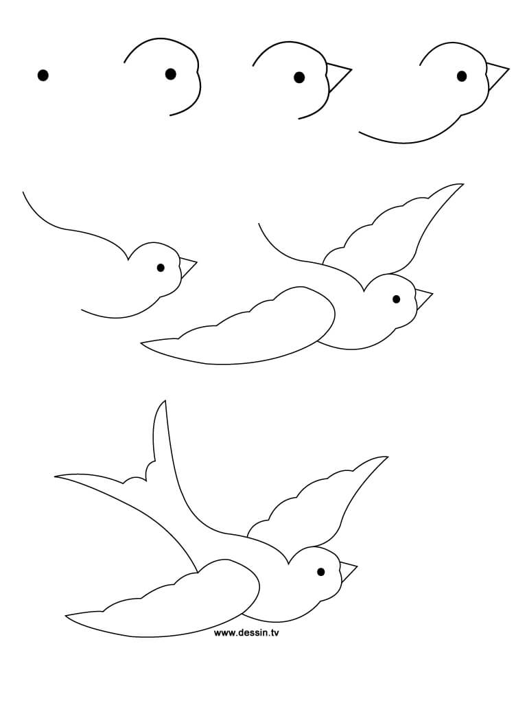 Easy Swallow Bird Drawing Idea Step By Step For 2nd Grade