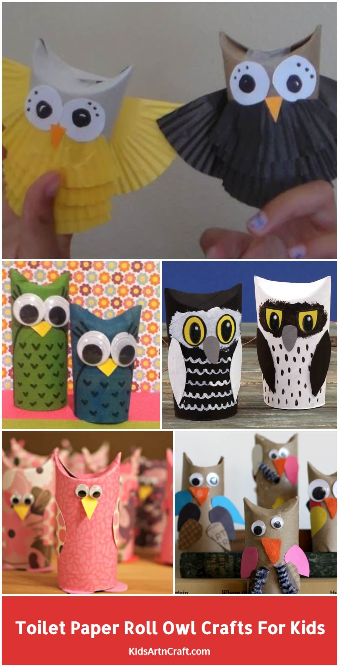 Toilet Paper Roll Owl Crafts for Kids