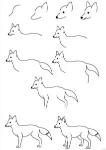 Very Easy Step By Step Fox Drawing