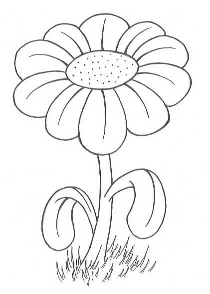 Very Simple Flower Drawing For Kindergartners