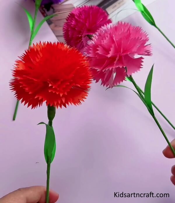 Simple 3D Paper Carnation Flower Craft For Kids