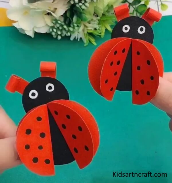 Fun to Make 3D Ladybug Using Paper