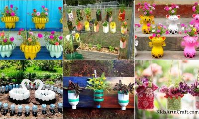 DIY Plastic Bottle Ideas For Garden