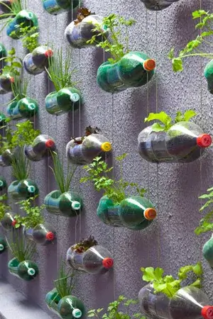 DIY Vertical Gardening Craft With Plastic Bottles