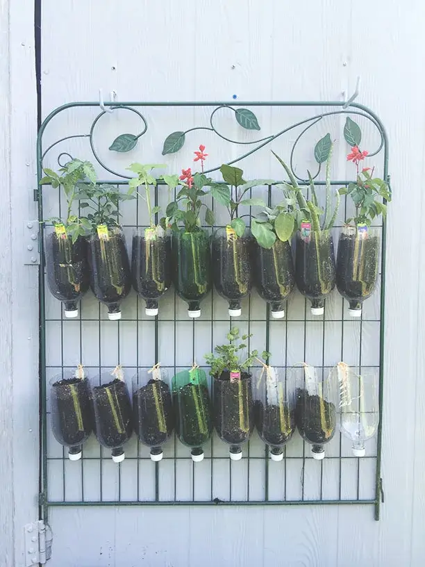Easy Vertical Garden Craft Idea With Recycled Plastic Bottles