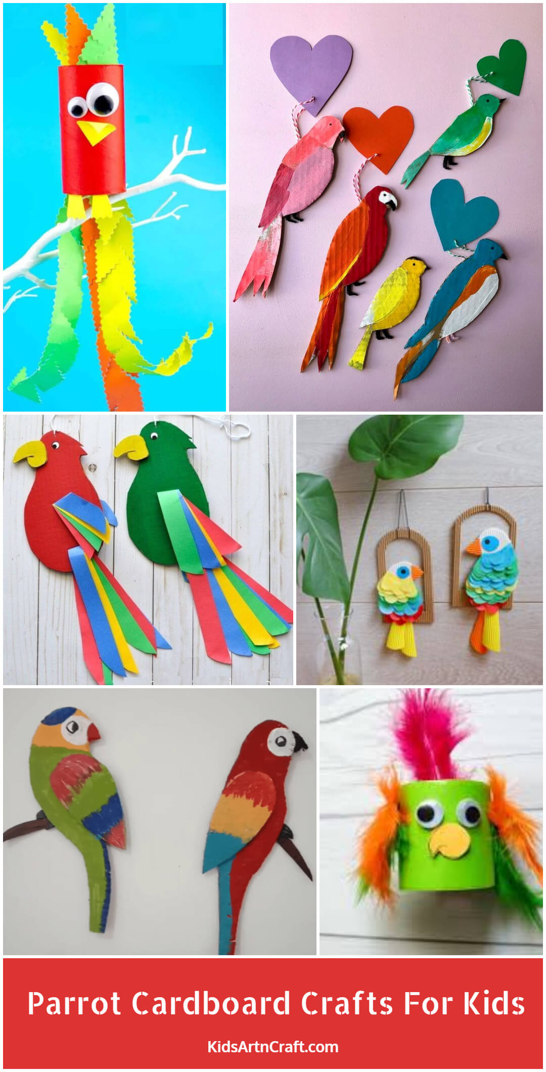 Parrot Cardboard Crafts For Kids