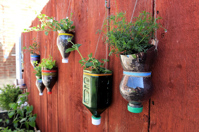 Recycled Bottle Planters Craft With Plastic Bottle