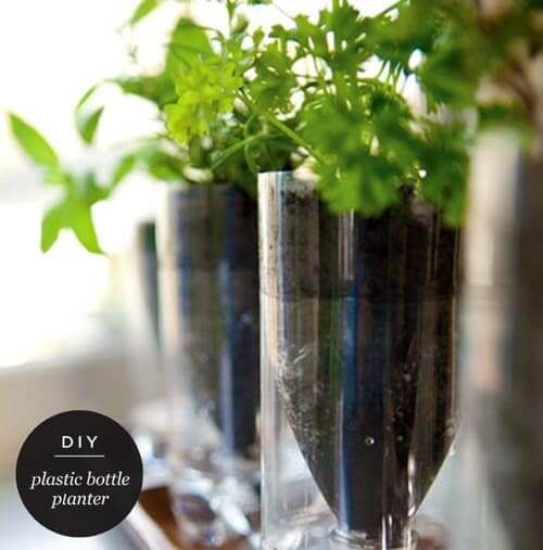 Recycled Plastic Bottle Herb Planter For 4th Grade