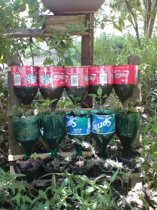 Recycled Soda Bottle Herb Garden Craft Idea