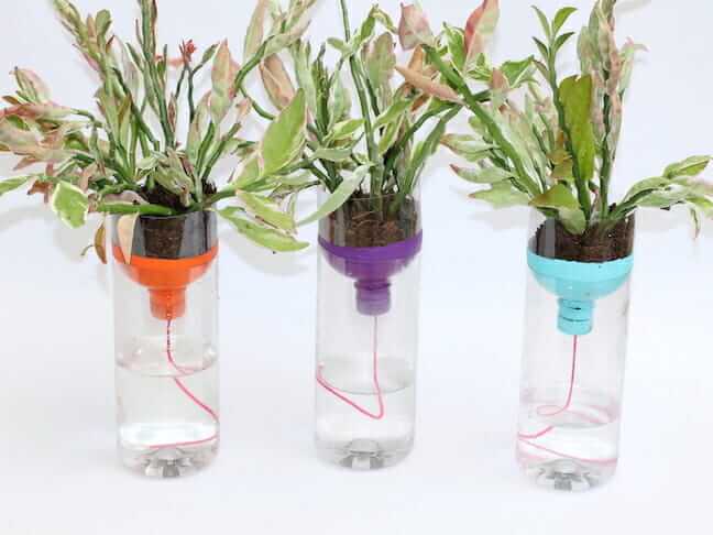 Self Watering Planters Craft Project Using Plastic Bottles