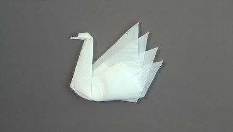 Swan Folding Craft Using Tissue Paper