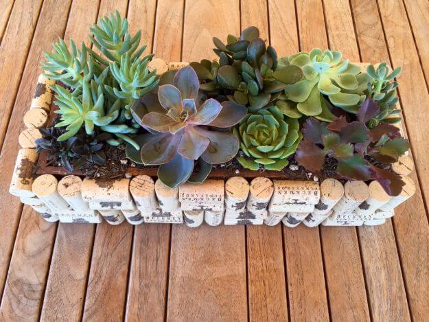 Adorable Easy Succulent Cork Planter Gift for Pals : Cork Craft Gifts 