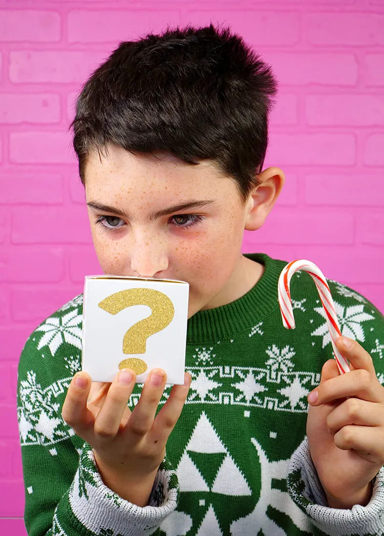 Amazing Mistry Box Scent Guessing Game For Kids : X-Mas Indoor Games