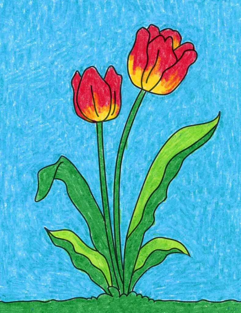 Beautiful Tulip Coloring With Crayons For Toddlers