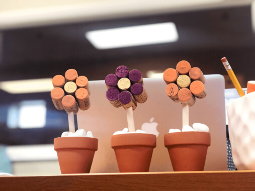 Decorative And Simple Potted Cork Flowers