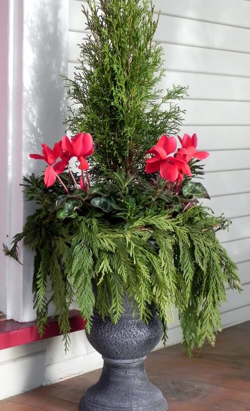 Easy & Adorable Urn Decorating Idea For Christmas Eve : Christmas Urn & Windowbox Filler Ideas