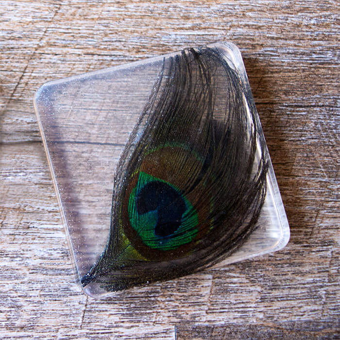 Easy Simple Resin Coaster Craft Idea With Peacock Feathers