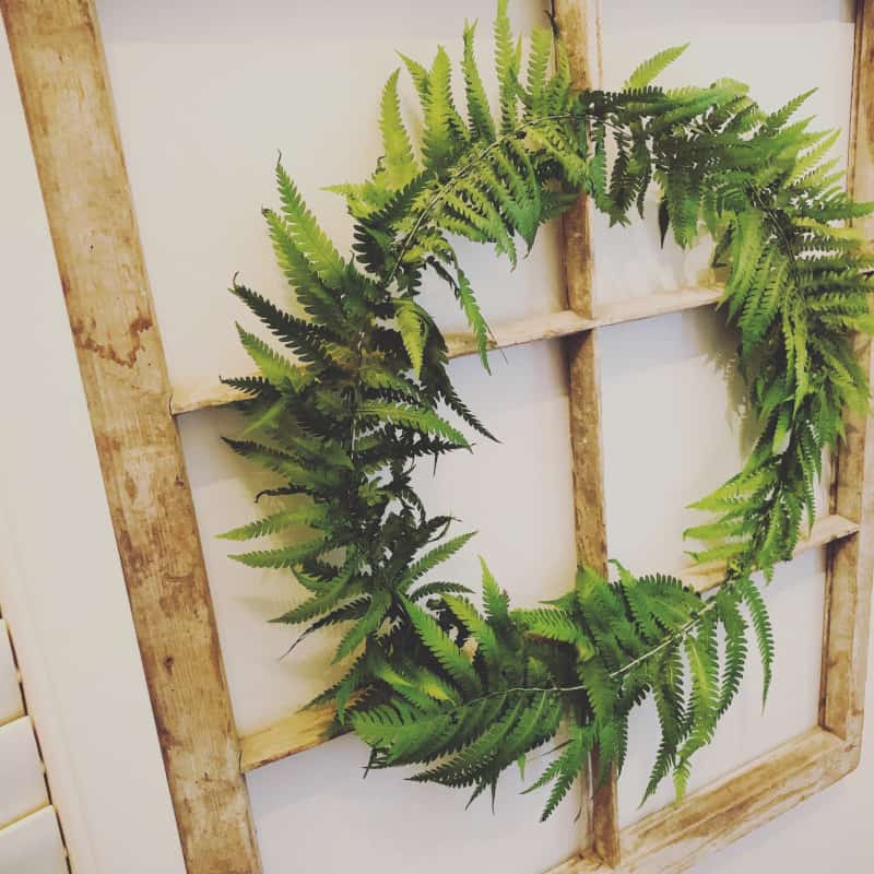 DIY Christmas Fern Wreath Ideas 