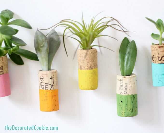 Tiny Wine Cork Succulent Planter Magnets For Decoration