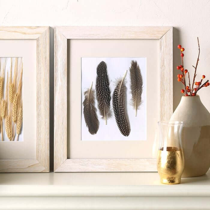 Beautiful Feather Art For Wall Decor