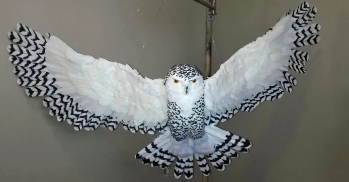 Beautiful Paper Mache Owl Craft Activity For Kids